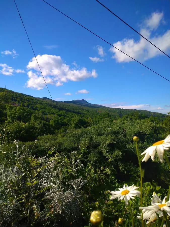 Casa de Férias Romantisches Steinhaus Lavanda Im Cottage Filipasi Mošćenička Draga